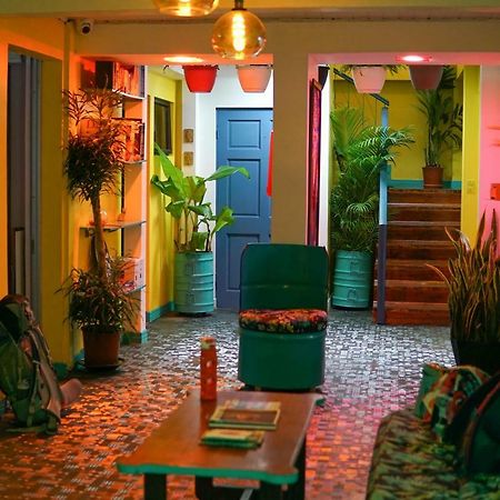 Nativus Art-Hostel Сан-Хосе Экстерьер фото